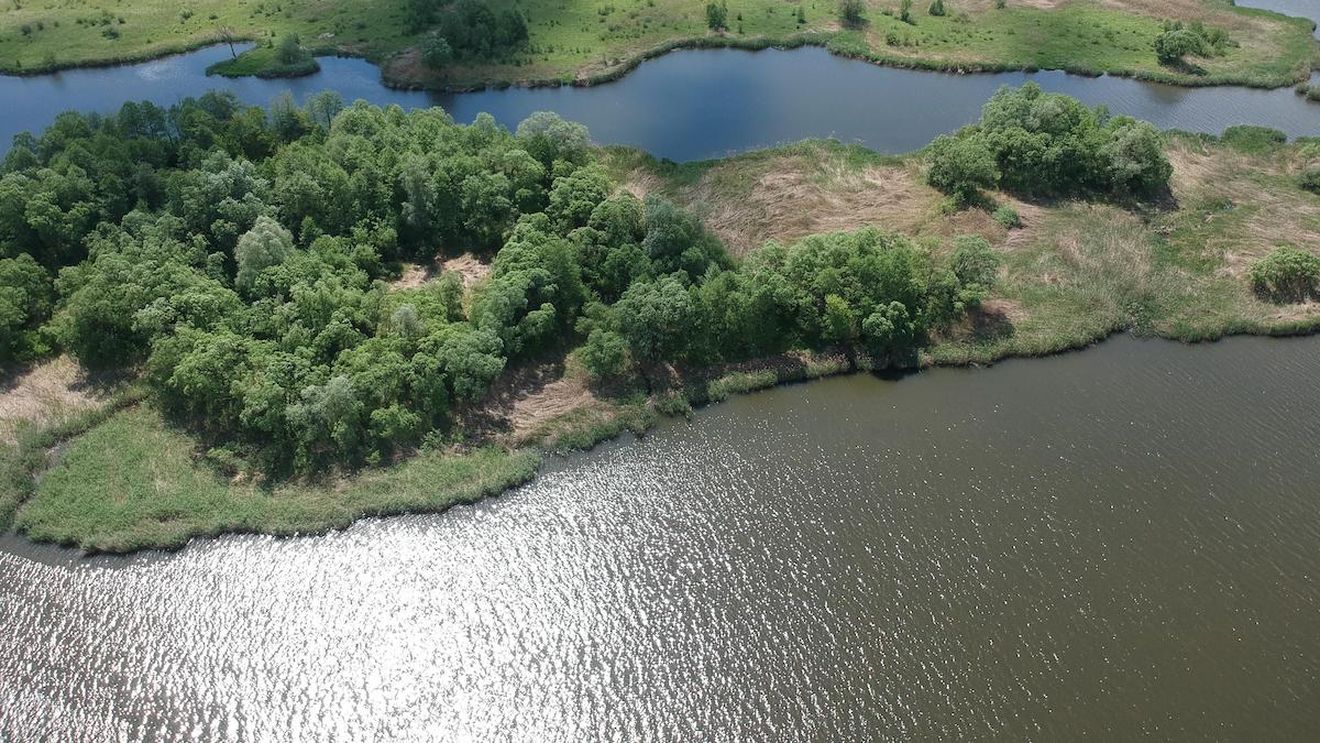 Excursie în Delta Oltului din Porumbacu de Jos (Sibiu): Camping, pescuit și peisaje spectaculoase / ”Vei vedea dovada puterii renașterii naturii atunci când nu este împiedicată de obtuzitatea omului”