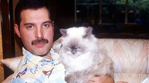 VIDEO De la „Delilah” de Queen la „Old King” de Neil Young: Melodii inspirate de animale de companie de la artiști faimoși