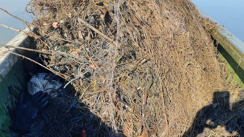 600 de metri de plase, scoase din Olt / ”Închideau accesul către o mare parte din zonele căutate de pești în perioada de reproducere”