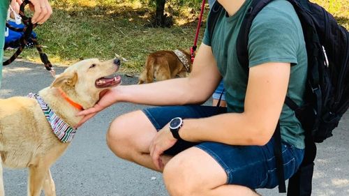 FOTO Primăria Capitalei a organizat în acest weekend mai multe evenimente pentru promovarea adopției câinilor / În total, 14 căței și-au găsit un nou cămin