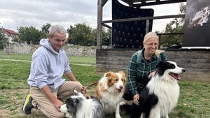 Spectacol canin la Oradea: Rase spectaculoase pe scena festivalului, cu un exemplar rar de Border Collie (VIDEO)