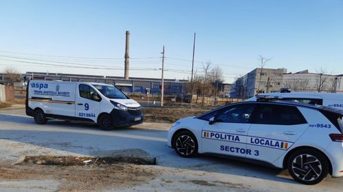 Animale salvate din condiții necorespunzătoare și duse în adăposturi de Poliția Locală Sector 3