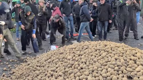 VIDEO Locuitorii din Bruxelles profită de protestele fermierilor:  Strâng cartofii aruncați de către agricultori