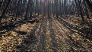 Înalta Curte a decis ca extravilanul localităţii Nadăş din judeţul Arad, care fusese retrocedat în baza unui certificat fals de moştenitor, să revină la Romsilva şi la Primăria Tăuţ, de care aparţine localitatea / Decizia e definitivă