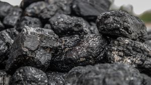 Polonezii stau zile întregi la coadă pentru a cumpăra cărbune pentru iarnă, de teama unei penurii în timpul iernii