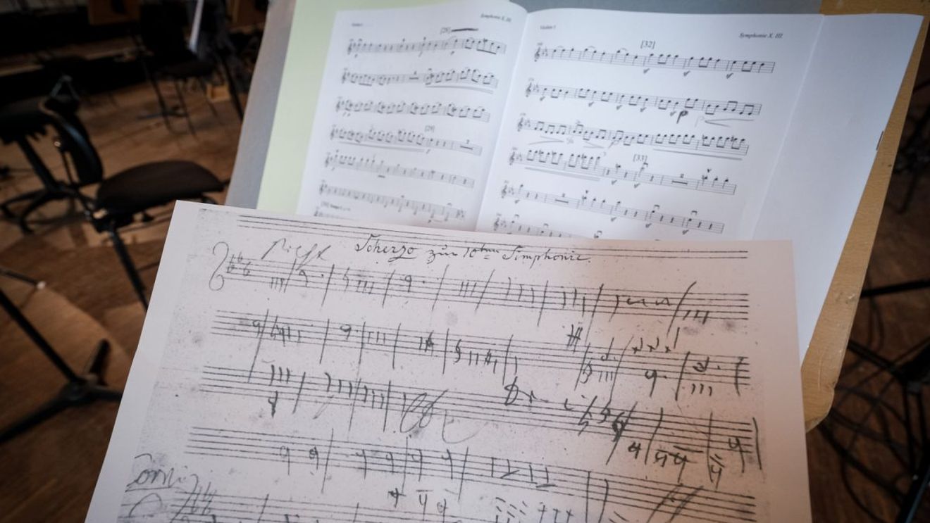 Metalele grele identificate în părul lui Beethoven ar putea explica surditatea compozitorului