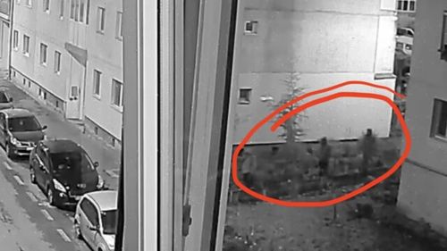 Zuleam, Ghiță și Minae sunt numele celor trei suspecți de uciderea omului de afaceri Adrian Kreiner din Sibiu