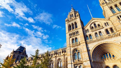 Rămășițele a zeci de indigeni au fost returnate în Australia