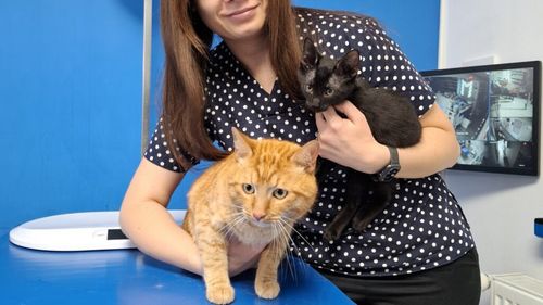 Exclusiv | Sterilizarea și vaccinarea animalelor de companie: Ce trebuie să ia stăpânii în calcul înainte de vizita la veterinar. Sfaturile medicului Medeea Iliopolos