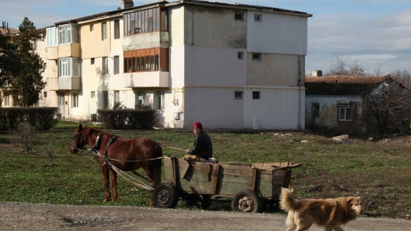 Bărbat din Bacău reţinut de poliţişti după ce a omorât un câine şi l-a târât legat cu lanţul de căruţă