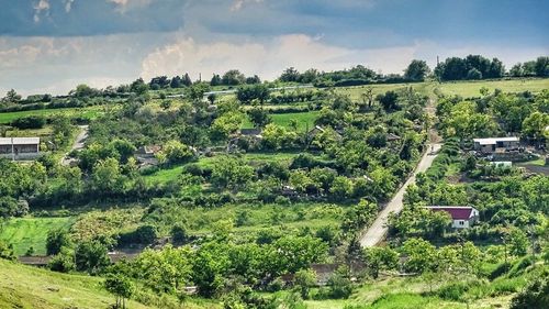 Prefectul Constanței, despre numărul mare de morți COVID-19 din județ: ”Am pierdut doar în luna octombrie populația unei comune”