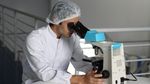 G4Food: Comisia Europeană înființează un grup special pentru verificarea importurilor de alimente și crește controalele la frontieră cu 33%