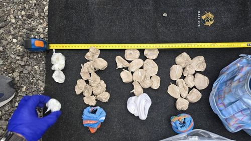 Şapte slovaci şi trei unguri, puşi sub acuzare în urma unei ample operaţiuni antidrog internaţionale / Cazul este legat de o captură de cocaină în valoare de peste 175 milioane de dolari în Republica Dominicană