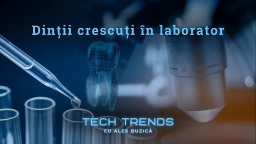 Stomatologia SF e foarte aproape: Dintele pierdut crește în laborator, fără durere și fără plombe
