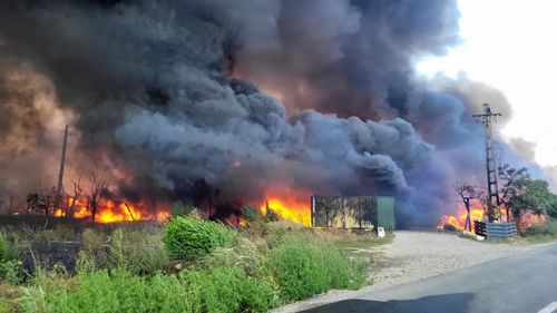 Trafic rutier îngreunat pe Valea Oltului, din cauza unui incendiu de pădure / O persoană a suferit arsuri