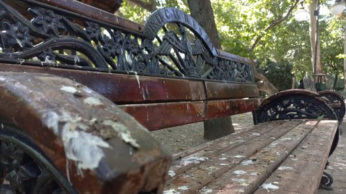 FOTOGALERIE Cum arată Cișmigiul la două săptămâni de când Nicușor Dan și-a asumat întreținerea parcului-simbol al Capitalei: la fel de mizerabil și degradat