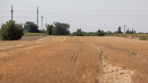 Ministrul Agriculturii: Statul român asigură 7 milioane de hectare la secetă. Cât vor primi fermierii ca primă de asigurare pe hectar