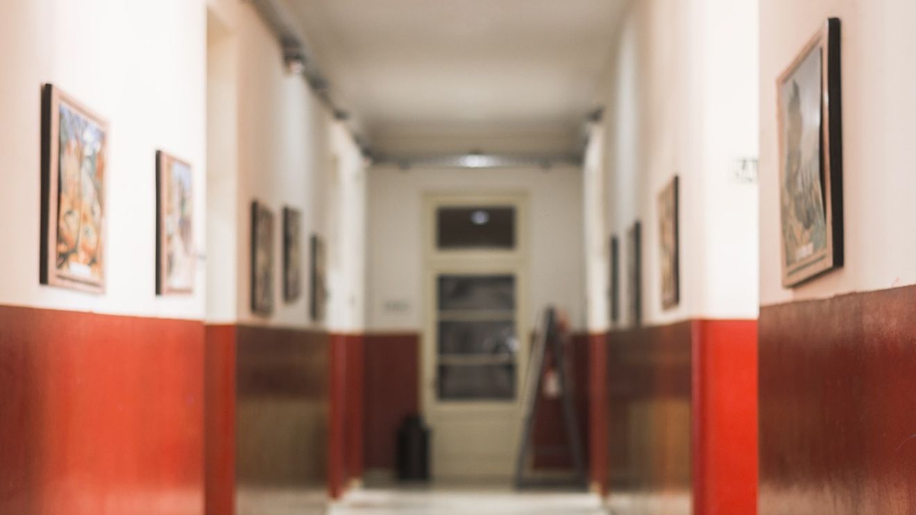 Ministerul Educației: 344 de școli și grădinițe funcționează astăzi exclusiv online, cu 6 mai multe decât vineri / 12.474 de unități de învățământ sunt în scenariul verde