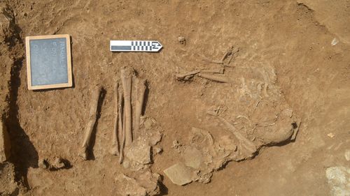 Testele efectuate pe schelete antice dezvăluie modul în care au evoluat bolile