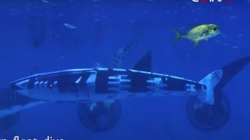 China a creat primul robot inteligent ”rechin-balenă” din lume / Pas uriaș în studiul vieții marine, dar și potențial element de apărare
