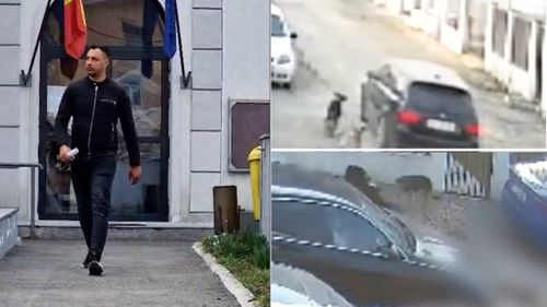 Subofițerul MApN, care a ucis un câine cu mașina, lăsat în libertate. De ce instanța a respins arestul la domiciliu. „Nu putem accepta asta. Cerem ca viața unui animal să nu fie ignorată”