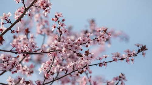 Vremea în minivacanţa de Paşte: Temperaturi mai ridicate decât cele specifice perioadei