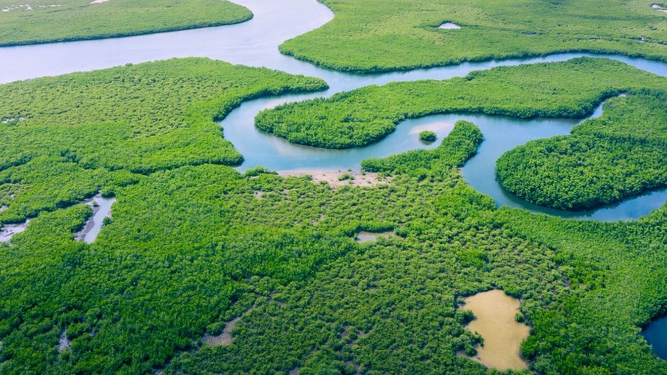 Secetă în Amazon: Cel mai scăzut nivel al apelor Rio Negro din anul 1902