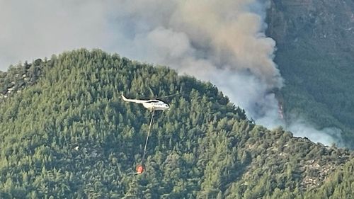 Armata intervine pentru stingerea incendiilor din Thassos / Situația pare mai bună, câteva focare sunt sub control / Autoritățile locale susțin că incendiul va fi ținut sub control înainte de apusul soarelui