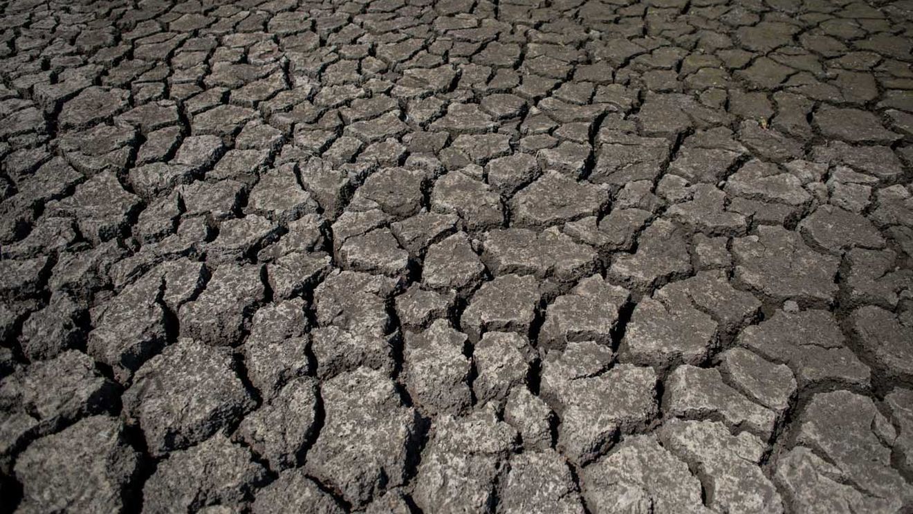 Suprafaţa agricolă afectată de secetă în România, raportată până în prezent, a depăşit un milion de hectare