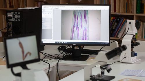 FOTO/VIDEO „FutureLabs” și „Moara de plastic” - proiecte de educație și protecția mediului pentru școli și comunitățile rurale din Ținutul Buzăului / Cum funcționează