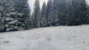 Cod portocaliu de precipitaţii abundente în Prahova, Buzău, Vrancea şi în zona montană din judeţul Dâmboviţa / Va ploua, iar la altitudini de peste o mie de metri va ninge