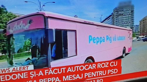 Autocar cu mesajul „Peppa Pig vă iubește” circulă în București / Antena 3: Piedone și-a făcut autocar roz