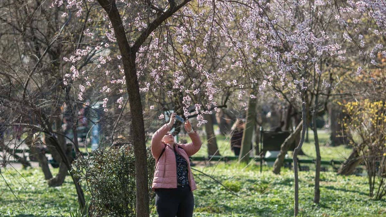METEO: Temperaturi mai ridicate decât cele specifice în ultima săptămână din martie şi în primele trei săptămâni ale lunii aprilie