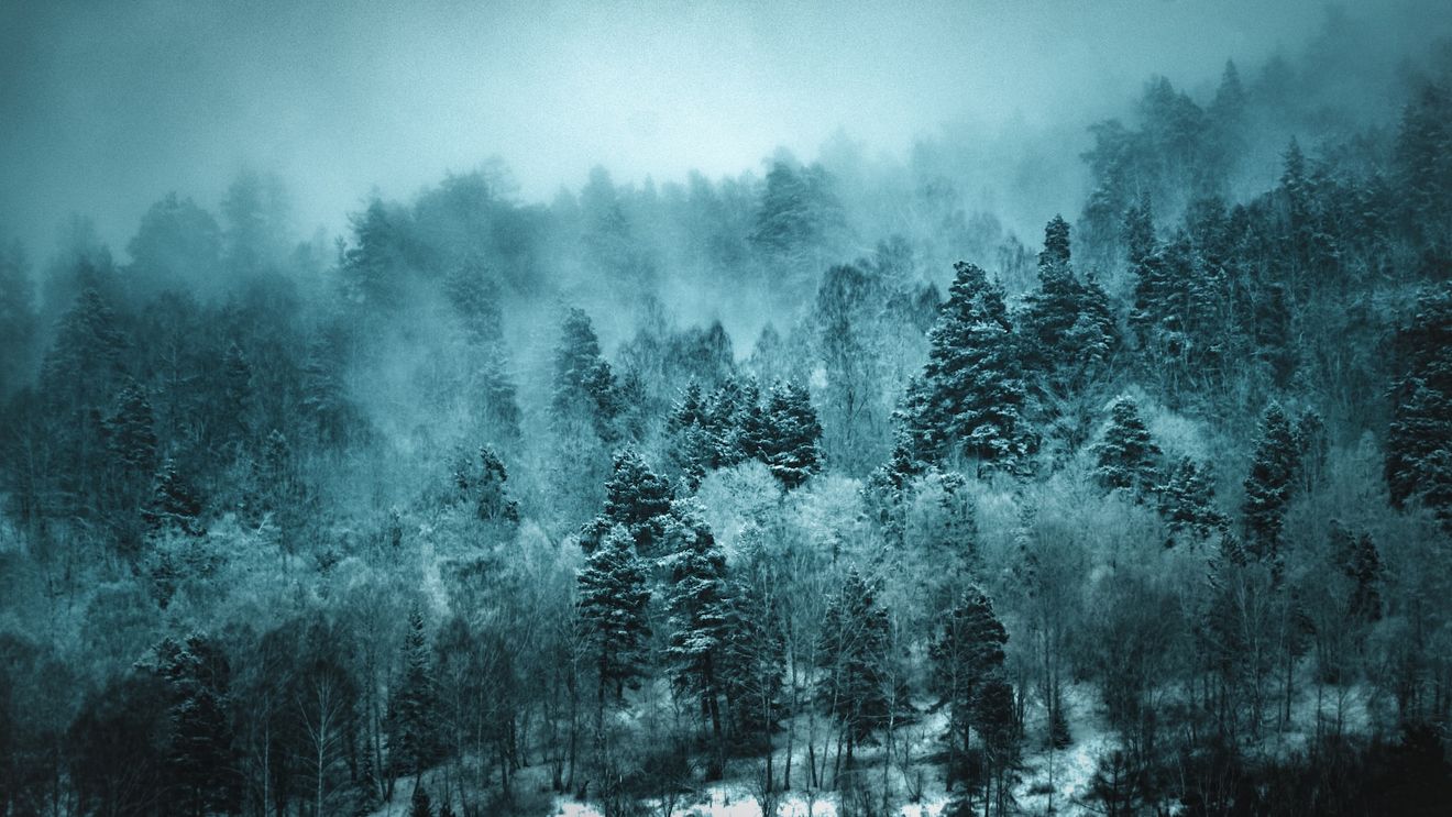 Temperaturile coboară la minus 50 de grade Celsius în Siberia, în timp ce zăpada record din Moscova a dat peste cap activitatea aeroporturilor