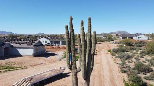 Trump ia în considerare să atace cu drone cartelurile drogurilor din Mexic (NBC News)