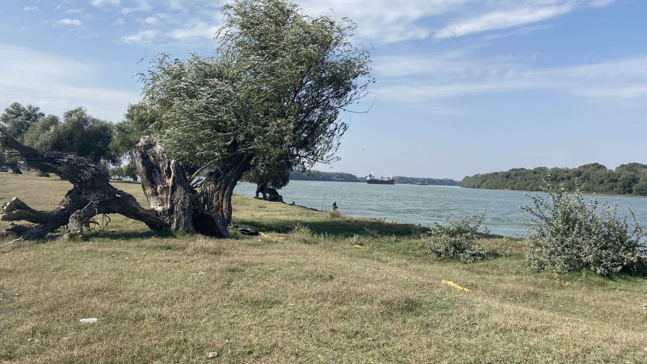 Administraţia Deltei Dunării revine asupra modelului hidraulic al rezervaţiei, ce viza prevenirea colmatării canalelor, pentru a proteja apa şi comunităţile din zonă