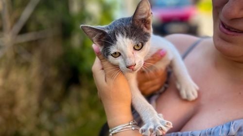 Pompierii tulceni au salvat un pisoi dintr-o clădire părăsită, după ce o femeie a apelat 112: „Îi salvăm cum am face pentru o viață omenească”