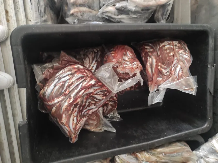 anpc alimente expirate peste pescarie mizerie