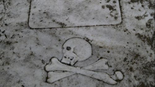 Sulina găzduiește Festivalul scrumbiei albastre după ce, anterior, și-a promovat comunitatea cu Parastasul piraților nepomeniți