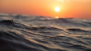 Oceanele se apropie de temperaturi record