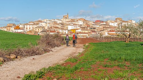 Oseminte umane găsite într-un mormânt din nord-vestul Spaniei ar putea aparţine unui episcop medieval care a contribuit la crearea Camino de Santiago, unul din cele mai populare pelerinaje creștine (studiu)