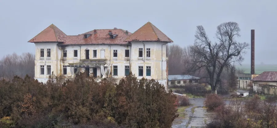 conac Costache Negri Țigănești