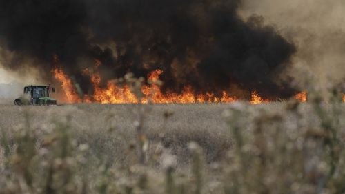 Trafic oprit pe autostrada București-Pitești, în zona localității Bolintin Vale, din cauza unui incendiu de vegetație