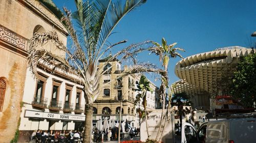 Lumea văzută prin lentila aparatelor foto „pe film”/ De ce tinerii din Generația Z sunt atrași de vechile tehnici foto/ „Ne dorim mai puține filtre și mai multă realitate”