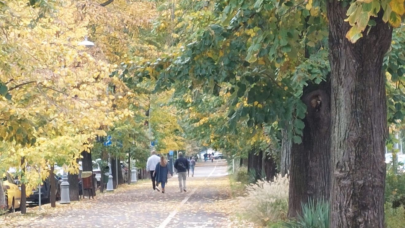 Proiect pentru amenajarea Parcului Cartier Henri Coandă, aprobat de Consiliul Local al Sectorului 1 / Este vizată amenajarea integrală a Parcului Regina Maria, pe o suprafaţă de 15.346 mp