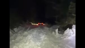 Un bărbat și fiul său au rămas înzăpeziți cu mașina în zona Cheile Oltețului, în noaptea de Înviere / A fost solicitată intervenția jandarmilor montani și a salvamontiștilor