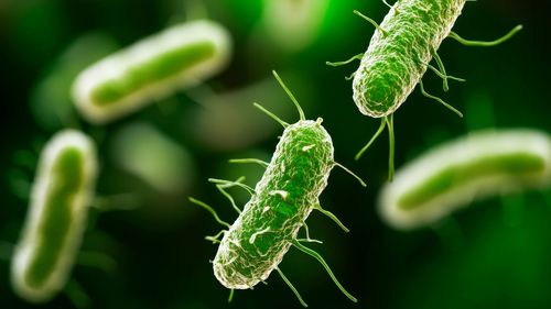 Rafila: Până în anul 2050 mortalitatea produsă prin infecţii cu bacterii multirezistente va fi prima cauză de deces din lume / Apoi vor urma bolile cardiovasculare şi cancerul / În UE, 50.000 de persoane mor în fiecare an din cauza infecțiilor