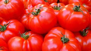ANALIZĂ | Cum este Europa invadată de roșiile marocane. O concurență neloială prin care, pe mesele europenilor, ajung fructe și legume ieftine, dar infestate de pesticide periculoase pentru sănătate