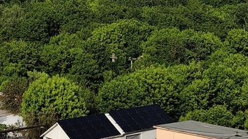 Incendiu puternic în zona B-dul Theodor Pallady, într-o hală industrială