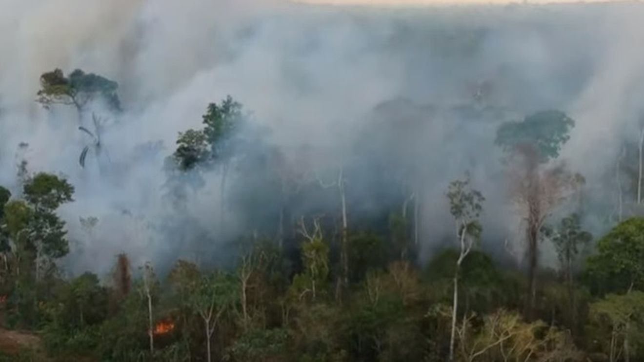 Triburile amazoniene își apără jungla. Exploatatorii și fermierii sunt alungați de indigeni: ”Oamenii albi vor ocupa țara numai dacă vom muri”